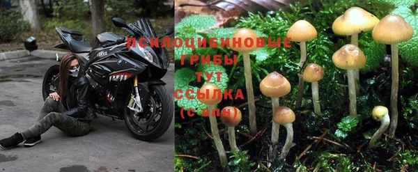 кокаин перу Арсеньев