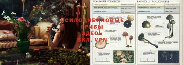 спайс Армянск
