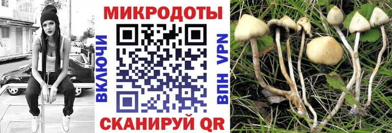 kraken сайт  Сковородино  Псилоцибиновые грибы ЛСД 